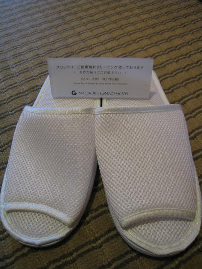 Nagaoka Grand Hotel מראה חיצוני תמונה